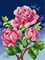 Needlepoint canvas for halfstitch without yarn Pink Roses 2594F - Printed Tapestry Canvas